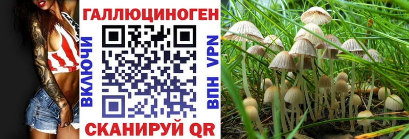 Галлюциногенные грибы Magic Shrooms Ак-Довурак